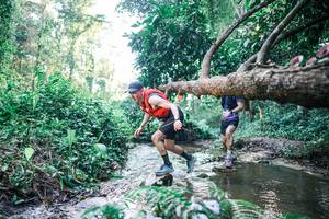 BIB: 
                            <button type="button" onclick="openModal(25431922)" class="btn btn-primary btn-sm float-right btn-popup" data-toggle="modal" data-target=".modal-high-quality">
                        <i class="fas fa-shopping-cart"></i> Add to Cart
                    </button>
                                            <button type="button" onclick="isThisMe(25431922, true)" class="btn btn-success btn-sm float-right btn-popup btn-isme hidden" data-toggle="tooltip" data-placement="bottom" title="นี่คือรูปของคุณใช่ไหม คลิกที่นี่เพื่อเอาเข้าอัลบั้ม">
                        <i class="fas fa-plus"></i> Add to album
                    </button>
                    <button type="button" onclick="isThisMe(25431922, false)" class="btn btn-warning btn-sm float-right btn-popup btn-isnotme hidden">
                        <i class="fas fa-ban"></i> Remove from album
                    </button>